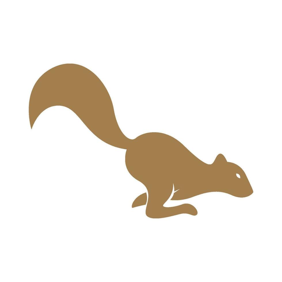 Squirrel design icon logo vector