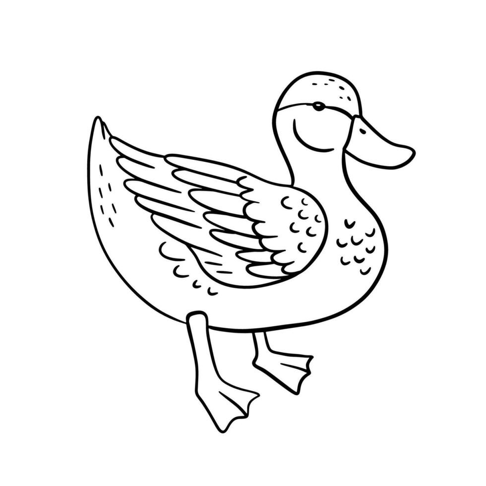 Standing monochrome duck. Vector line illustration pond bird isolated on white background.