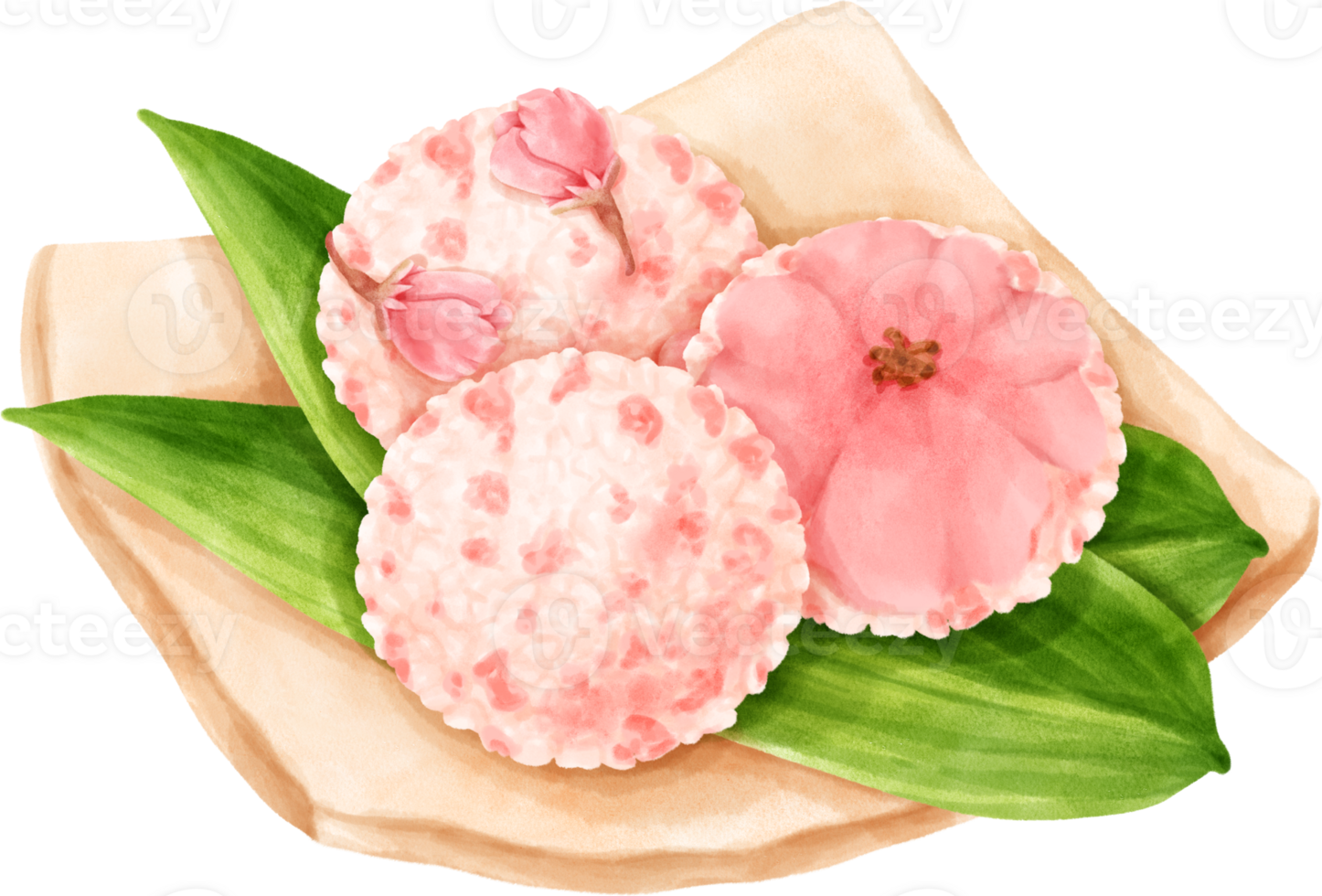 Watercolor Cute Sushi Balls png