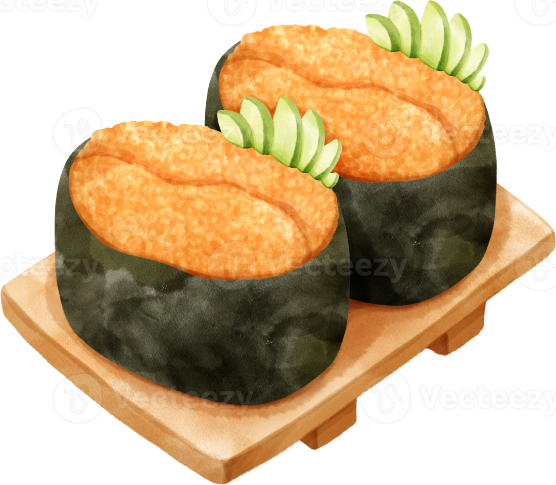 Watercolor Sea Urchin Sushi png