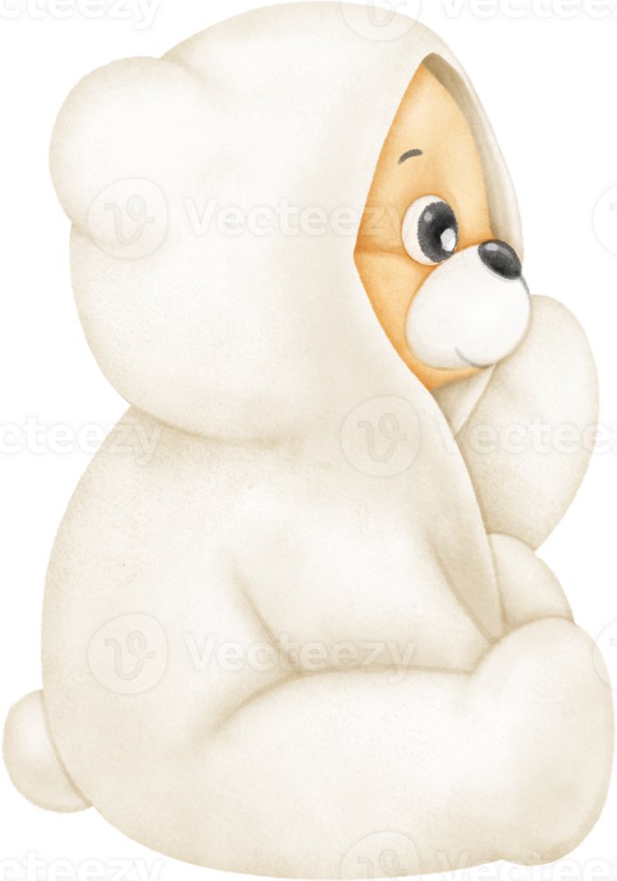 Baby Teddy Bear png