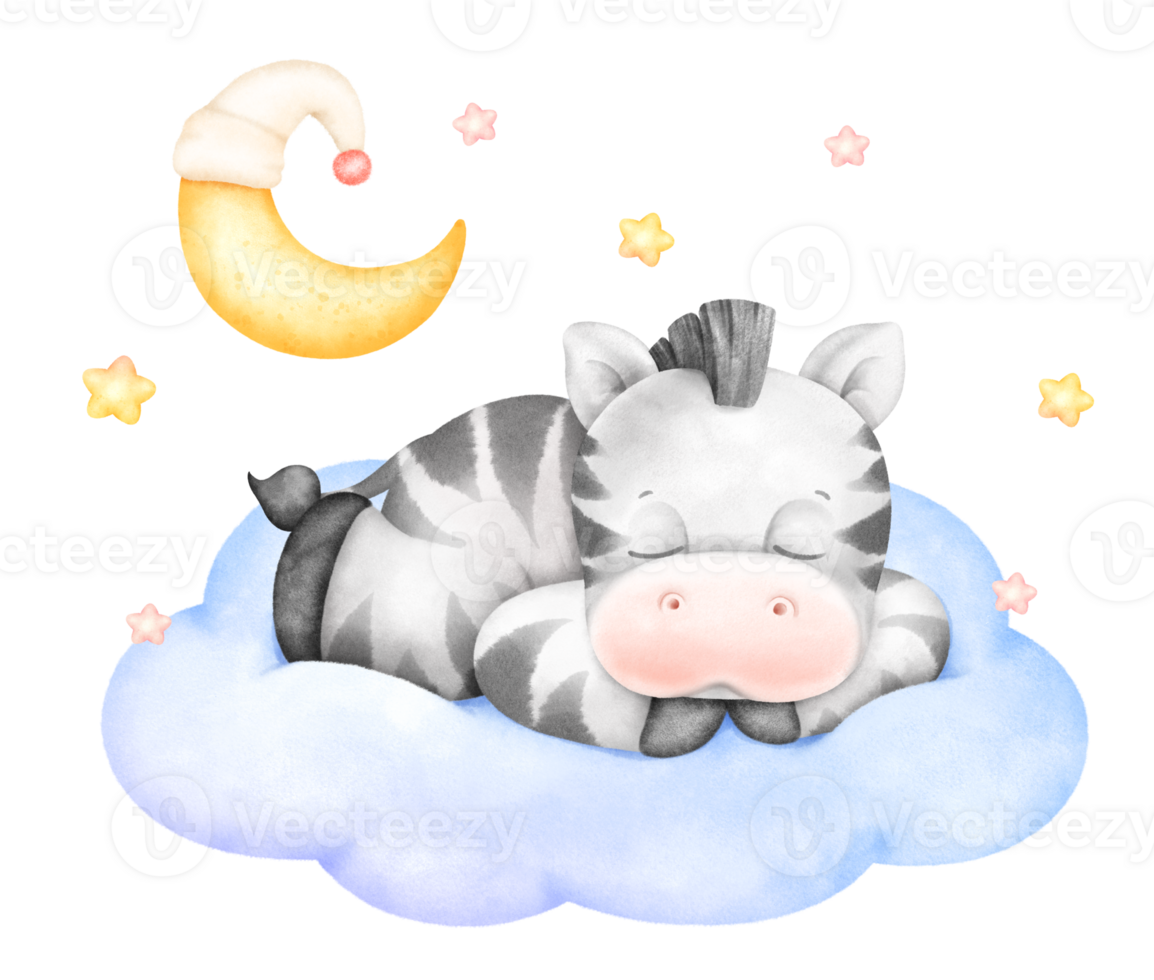 Baby Zebra Sleeping png
