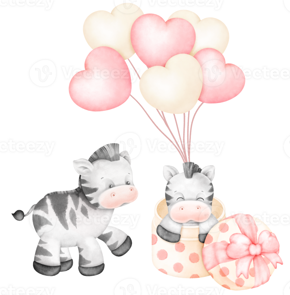 Cute Zebra on gitf box png