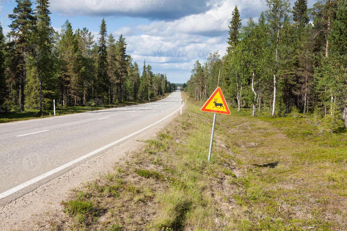 Beautiful scenic road in Norway. Typical warning road sign photo