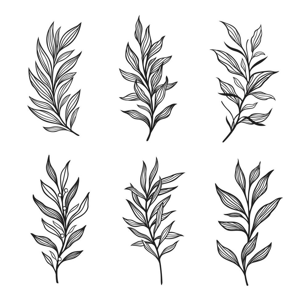 Trendy botanical elements, Hand drawn line leaves branches and blooming vector