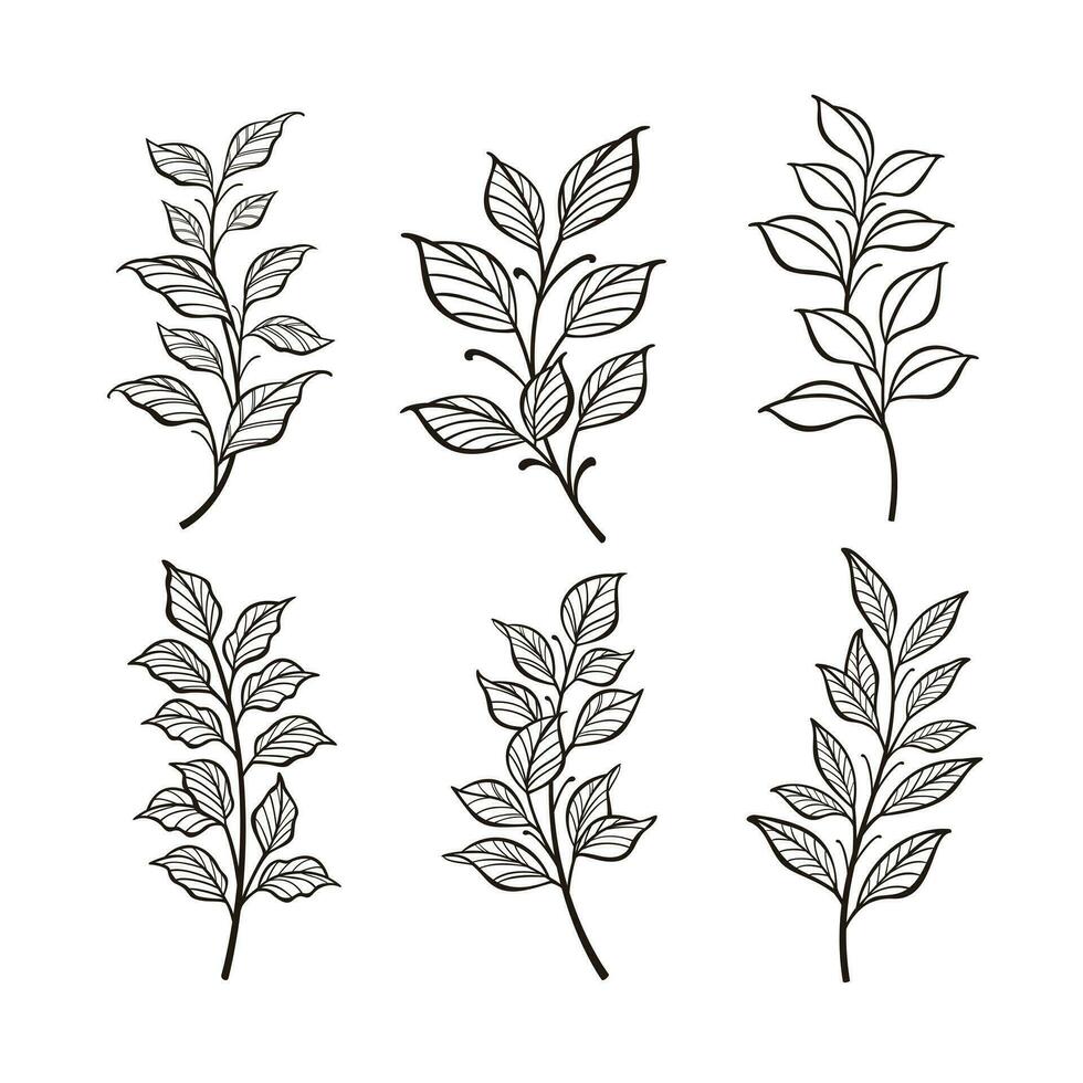 Trendy botanical elements, Hand drawn line leaves branches and blooming vector