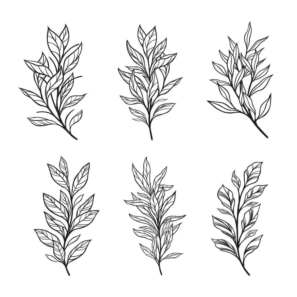 Trendy botanical elements, Hand drawn line leaves branches and blooming vector