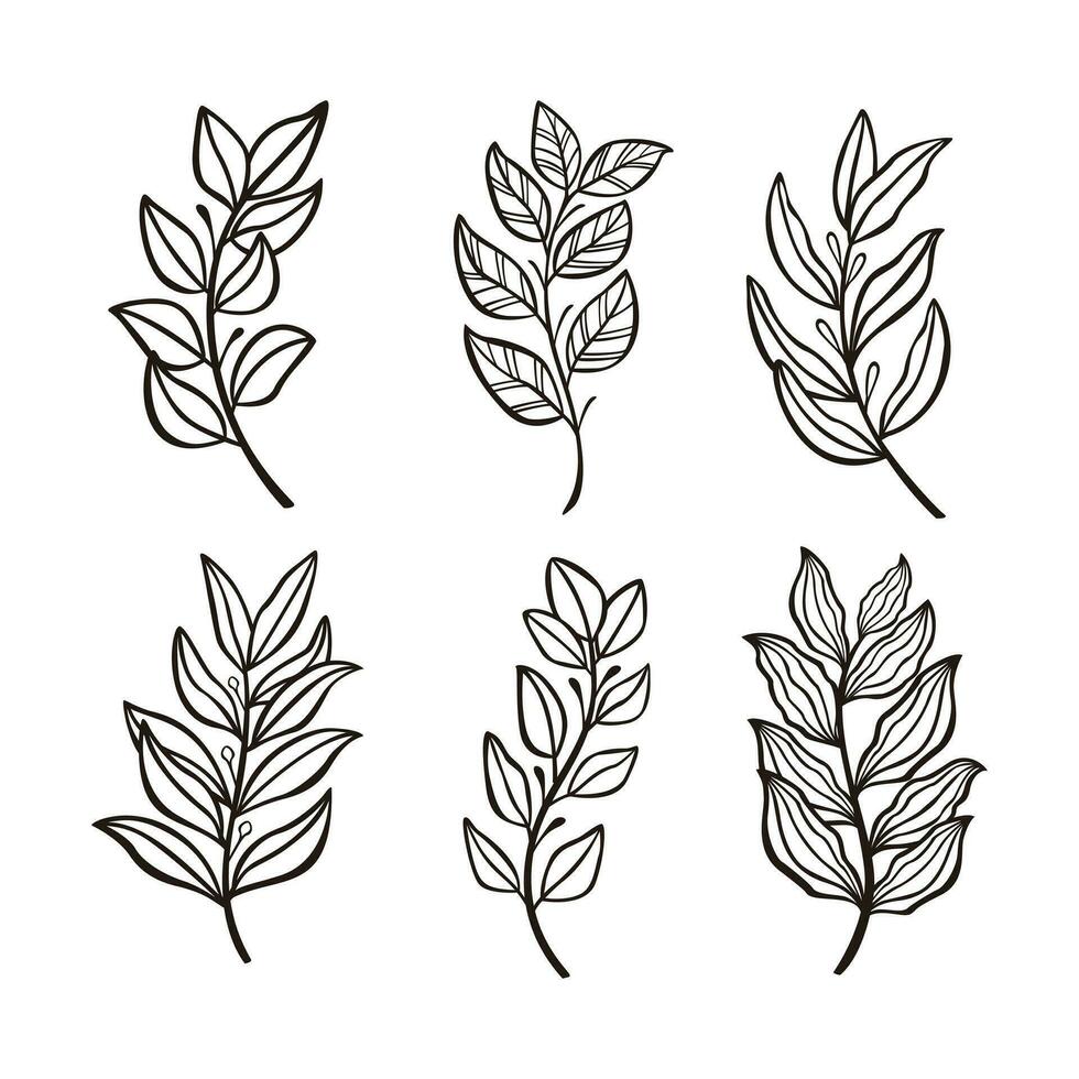 de moda botánico elementos, mano dibujado línea hojas ramas y floreciente vector