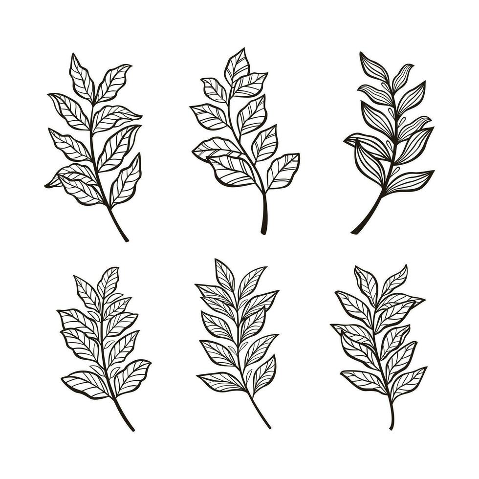 Trendy botanical elements, Hand drawn line leaves branches and blooming vector