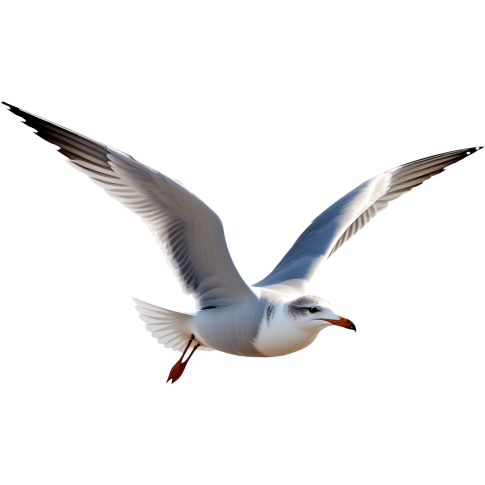 Beautiful gull flying. AI Generative png