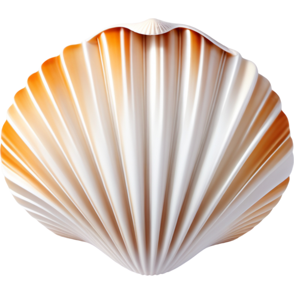 Closed white seashell. AI Generative png