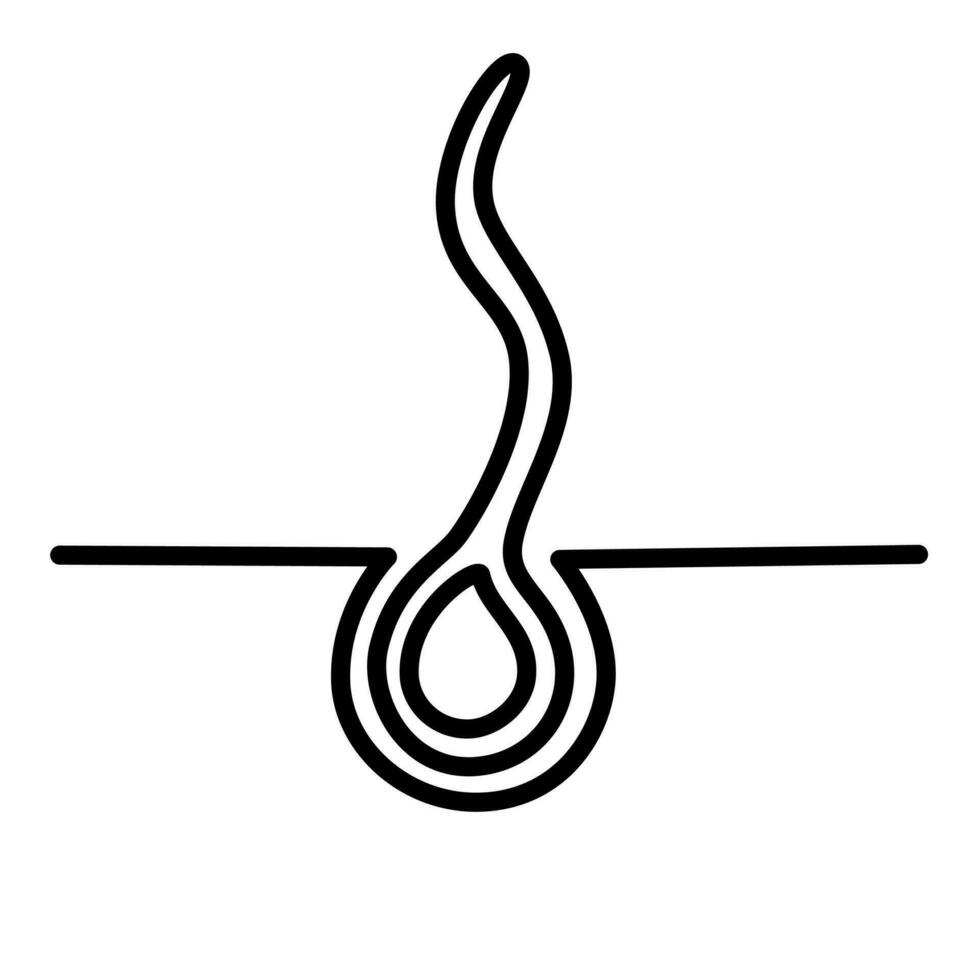 Normal hair growth line icon. Inflammation, skin problems. Anatomy infographics of hair. Vector illustration isolated on the white background.