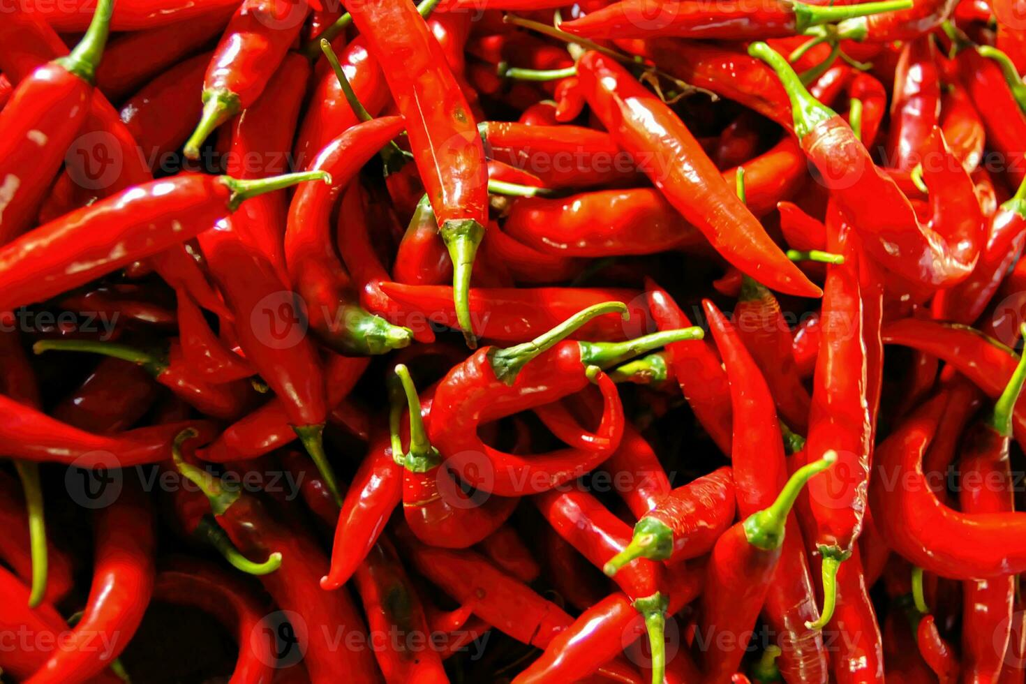 a bunch of chilies arranged randomly and photographed from above photo