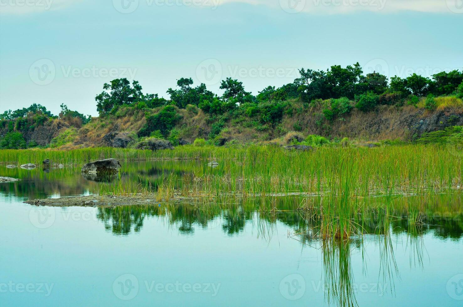 un mero con estanque de como un lago en un deslizamiento de tierra de campo foto