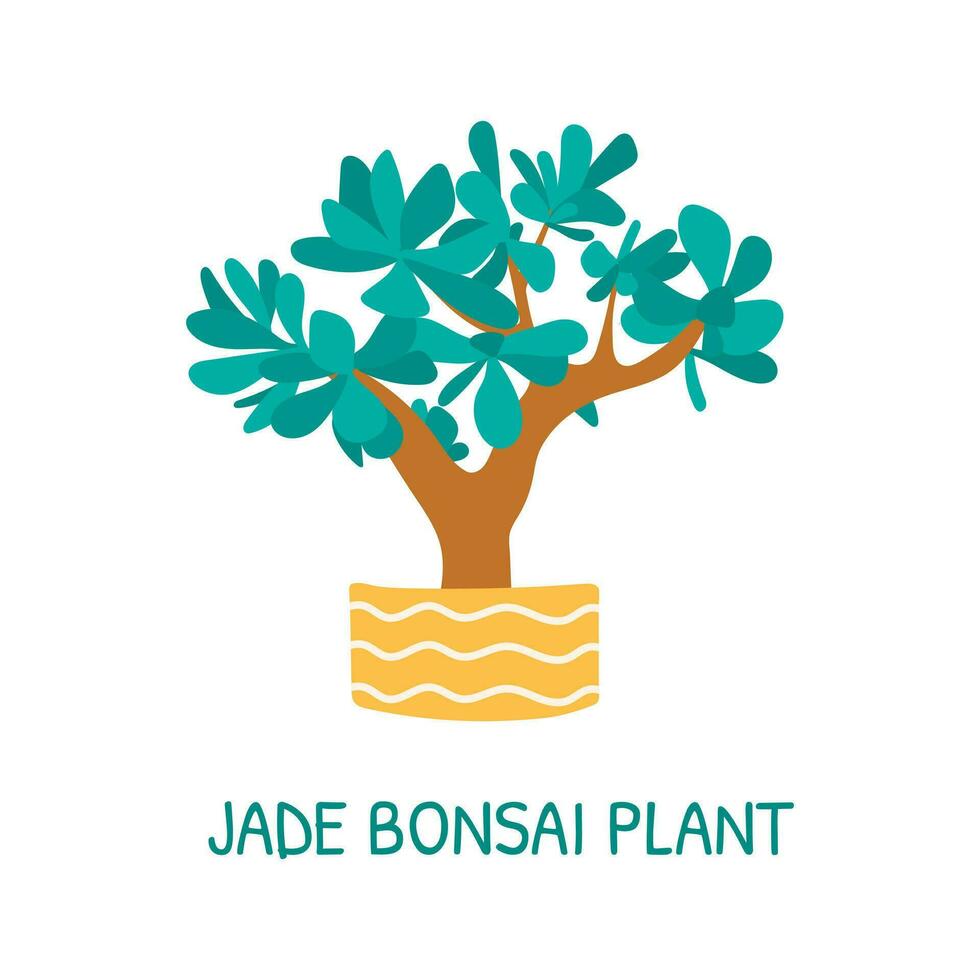 Vector isolated cartoon illustration of home potted succulent jade bonsai plant.
