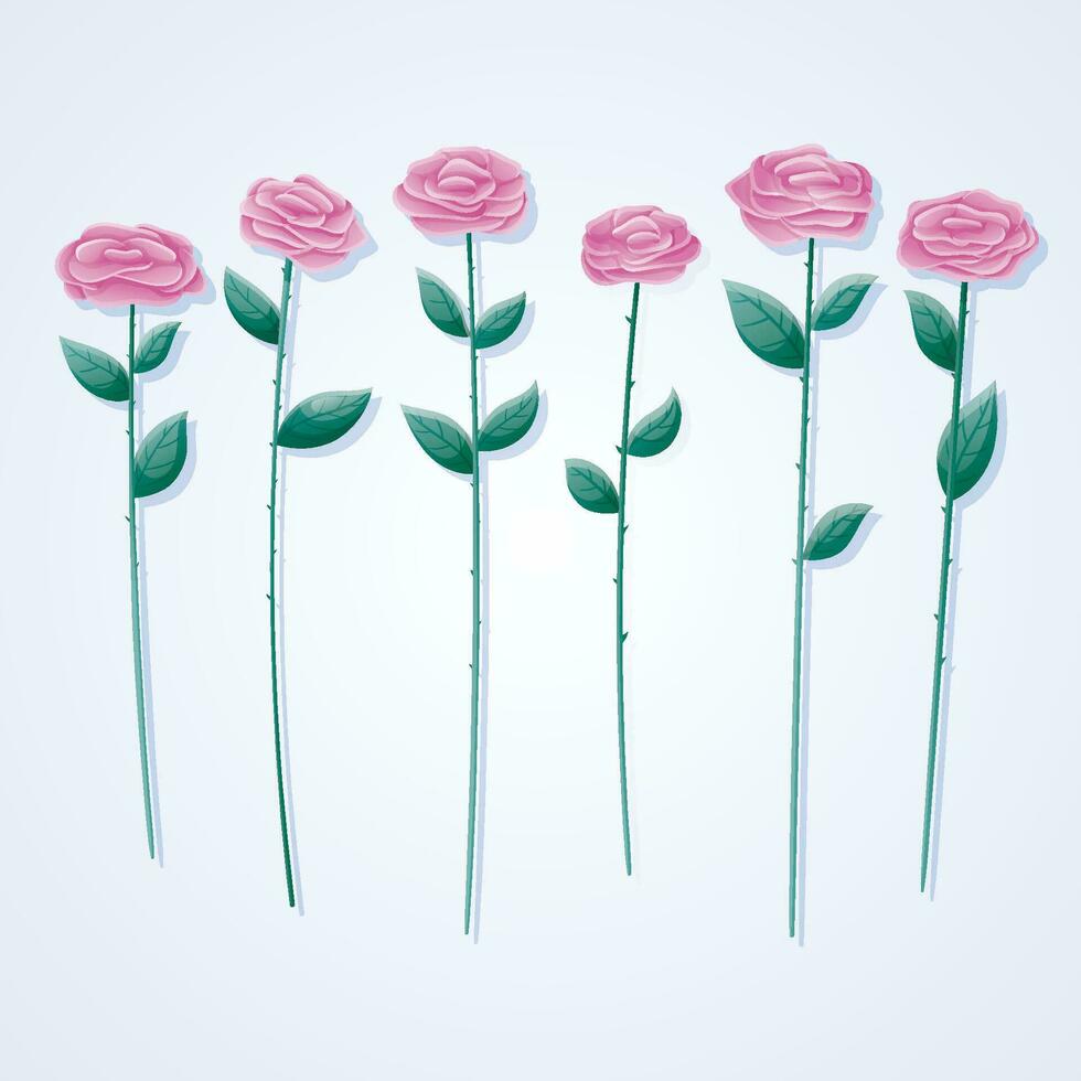 Set of isolated vector pink rose flowers