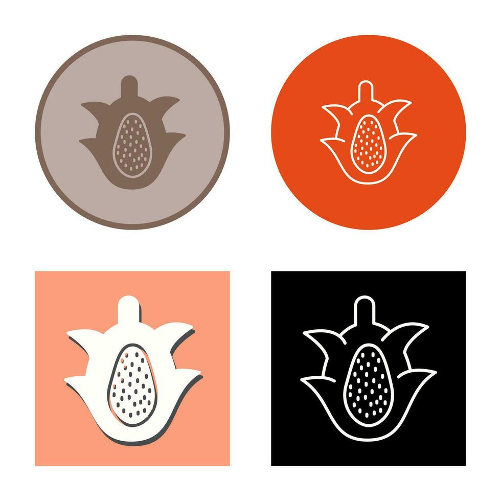 Dragon Fruit Vector Icon