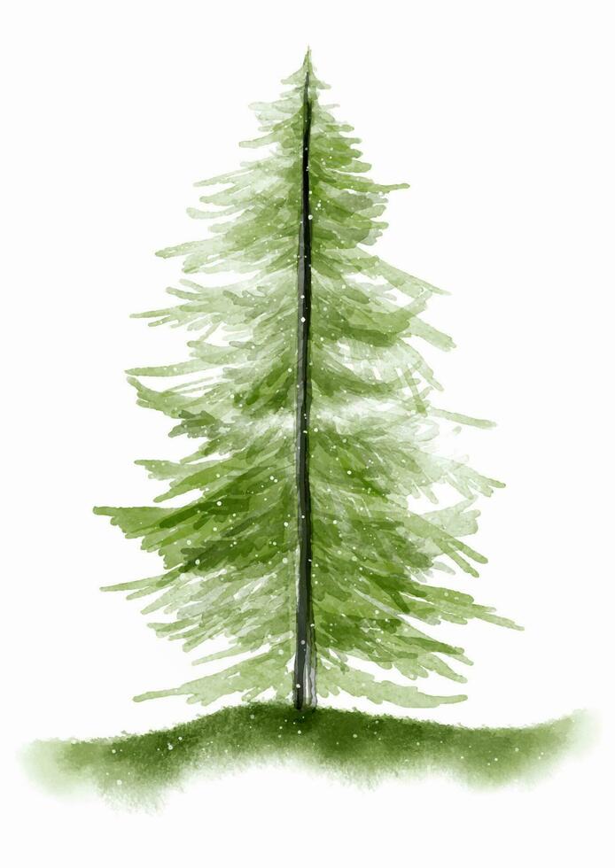 hand painted watercolour christmas tree vector