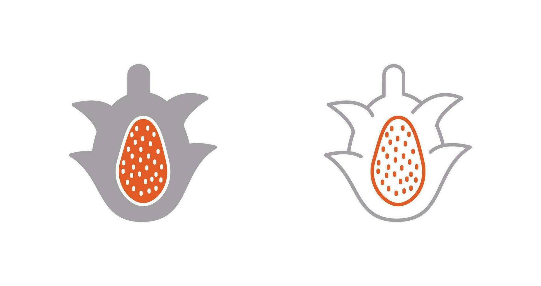 Dragon Fruit Vector Icon