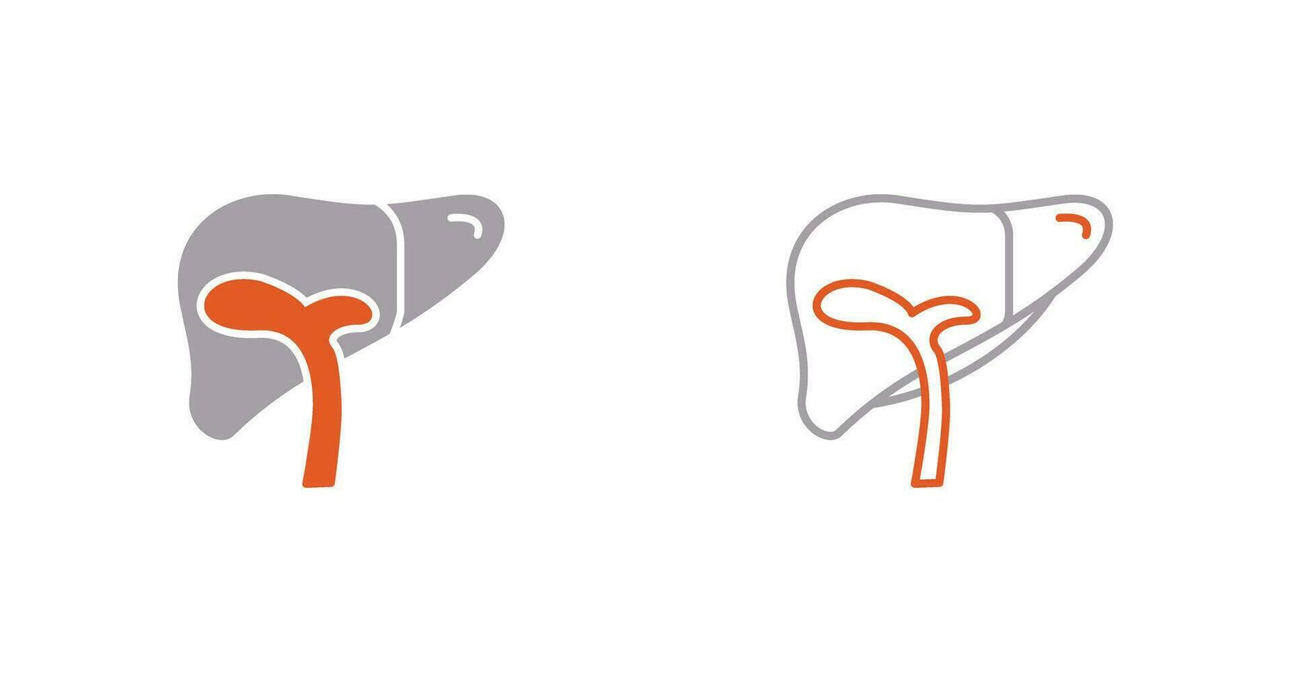 Liver Vector Icon