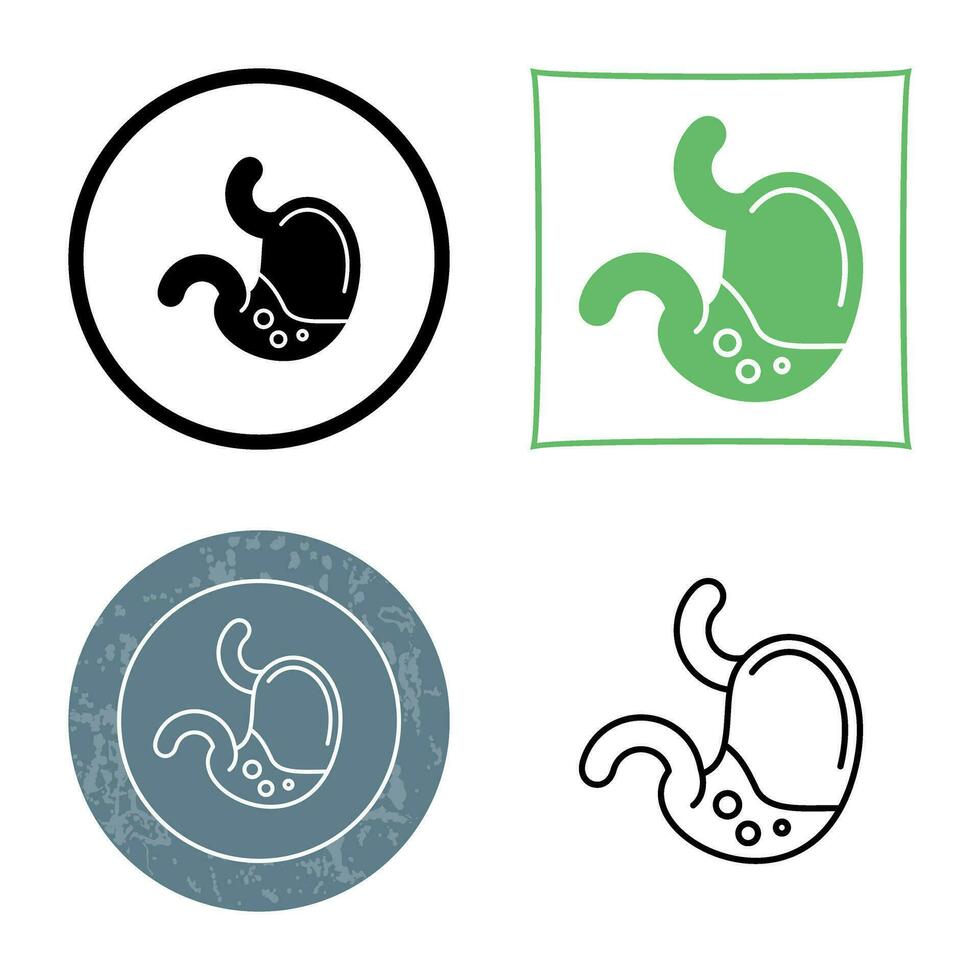 Stomach Vector Icon