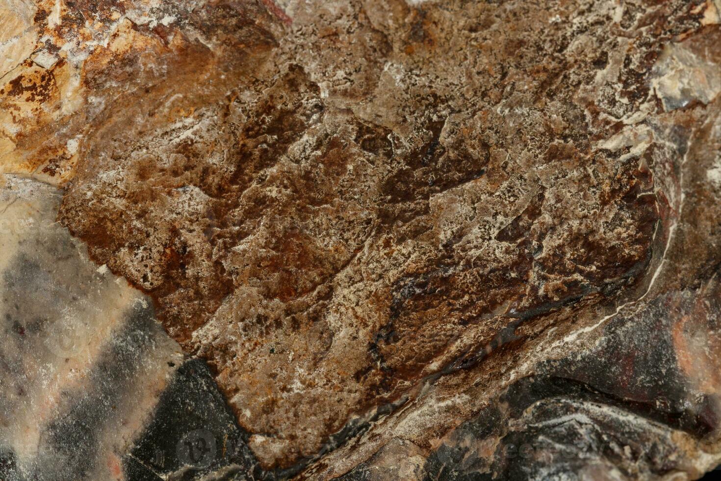 macro stone mineral jasper on black background photo