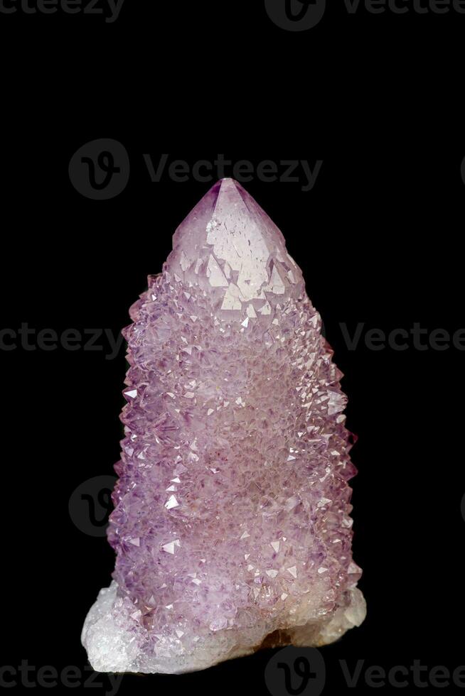 macro mineral stone amethyst cactus on a black background photo