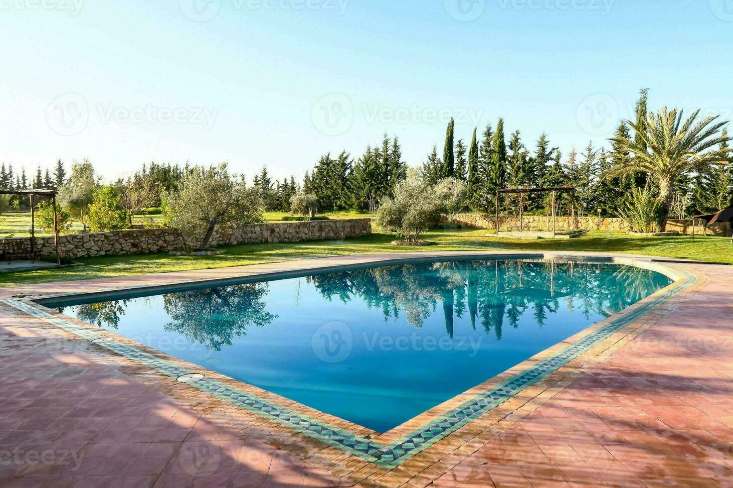 a pool in the middle of a garden with olive trees photo