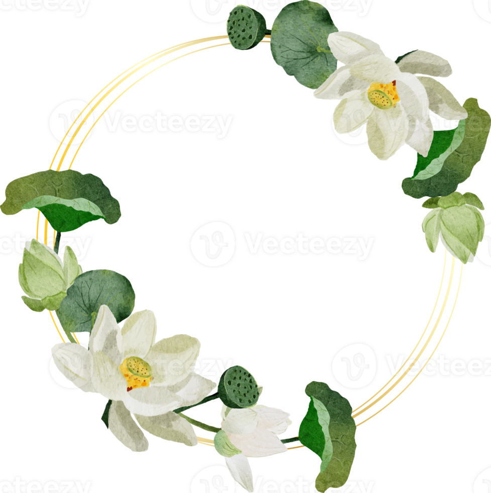watercolor white lotus flower bouquet wreath gold frame png