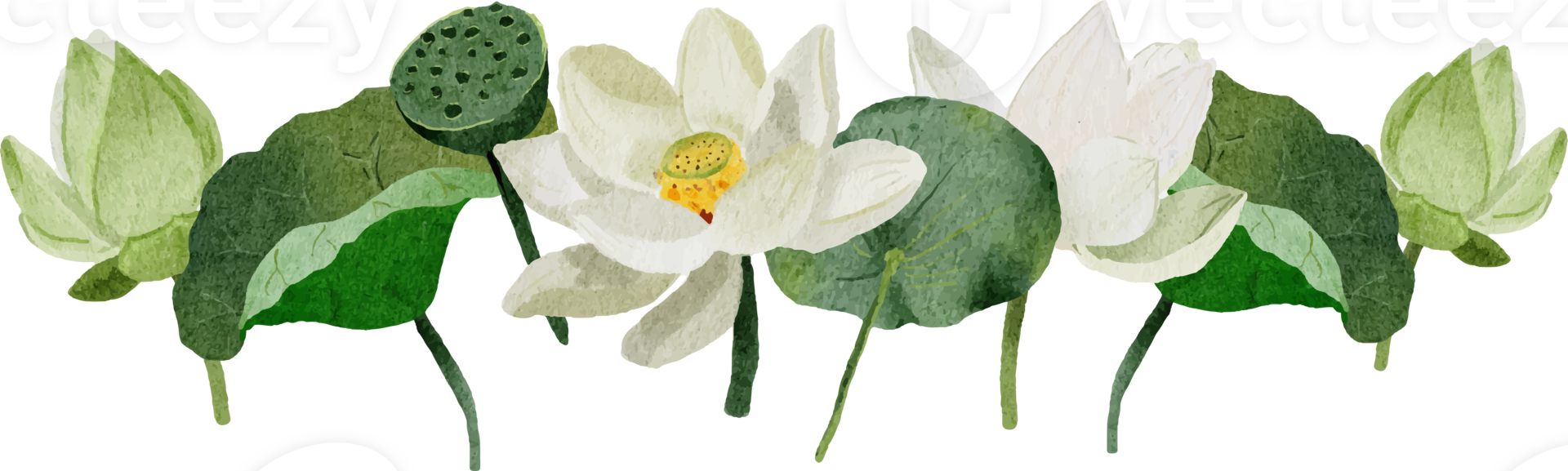 Aquarell Weiß Lotus Blume Strauß Kranz Rahmen png
