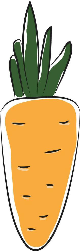 Fresh carrot icon vector