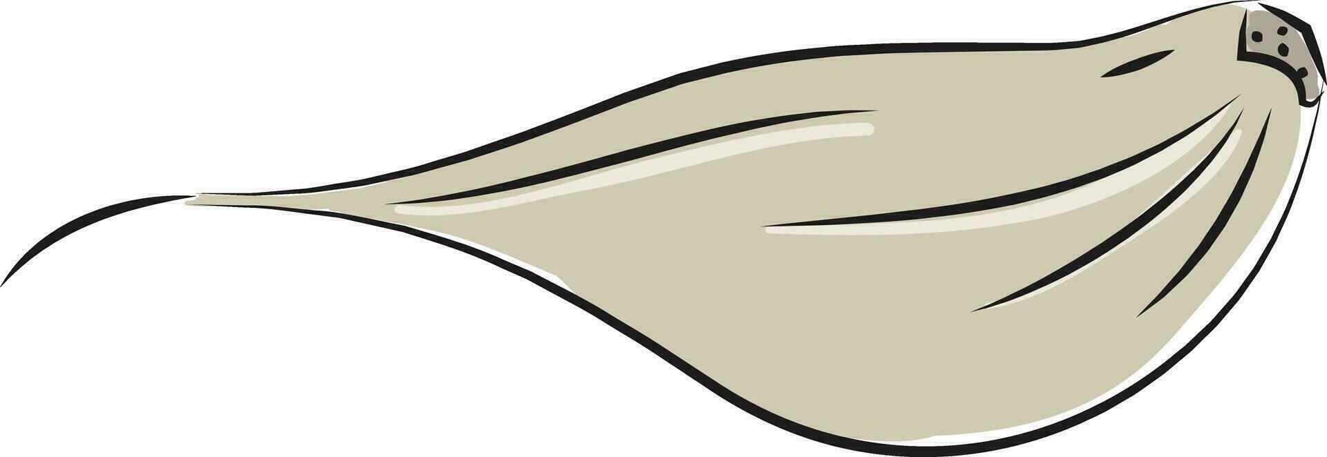 Garlic clove clip-art vector