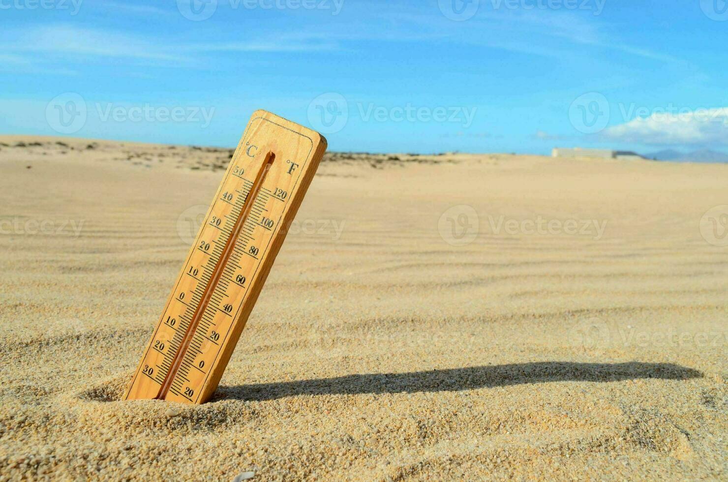 a thermometer in the desert photo