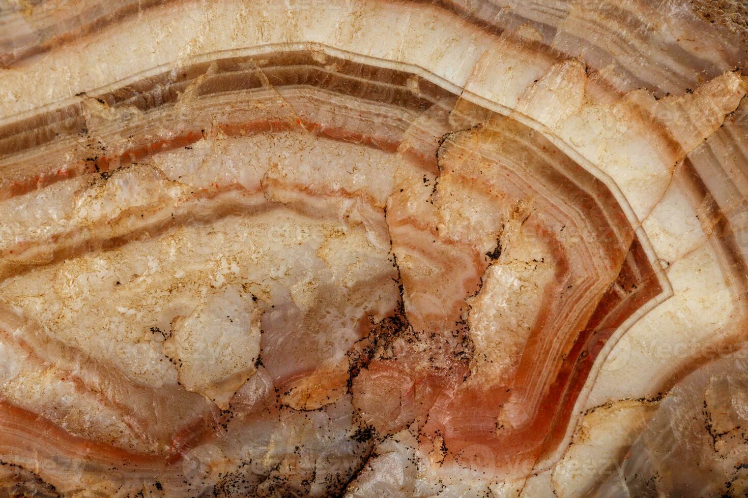 Macro mineral stone Agate Brown on white background photo