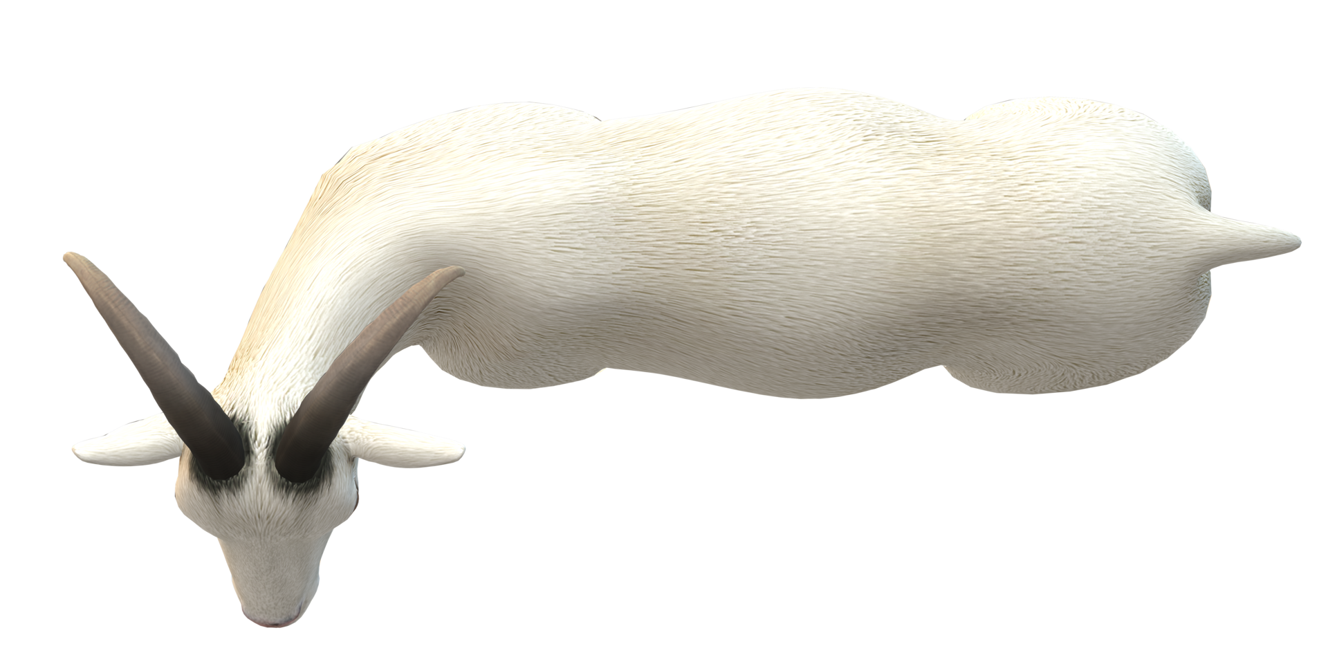 Goat isolated on a Transparent Background png
