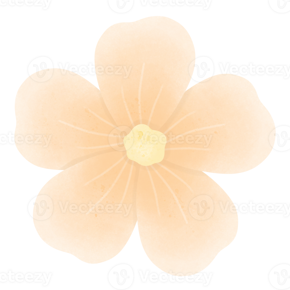 orange flower blossom png