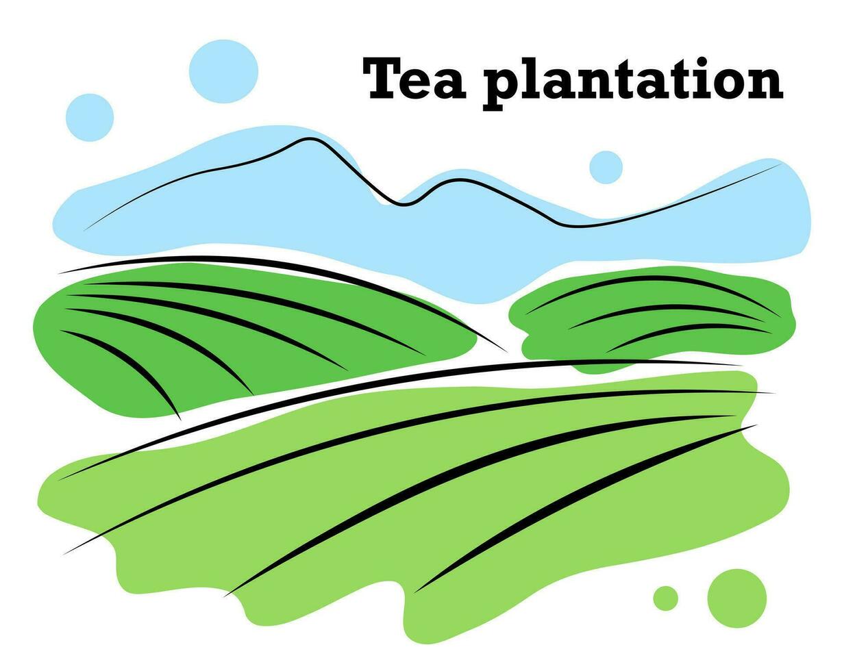 Doodle style tea plantation illustration vector