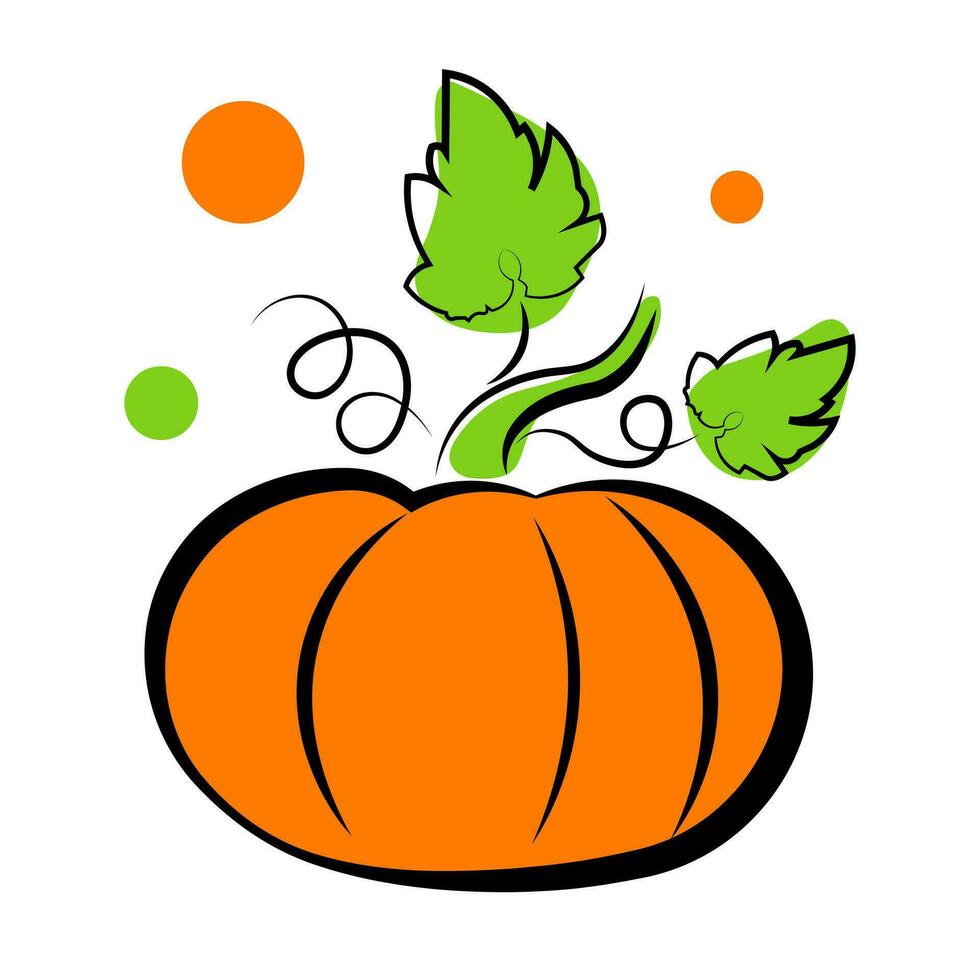 Pumpkin with leaves on a white background vector