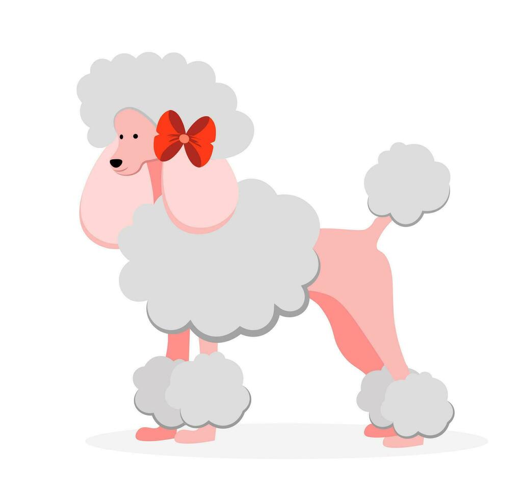 Pink poodle on white background vector