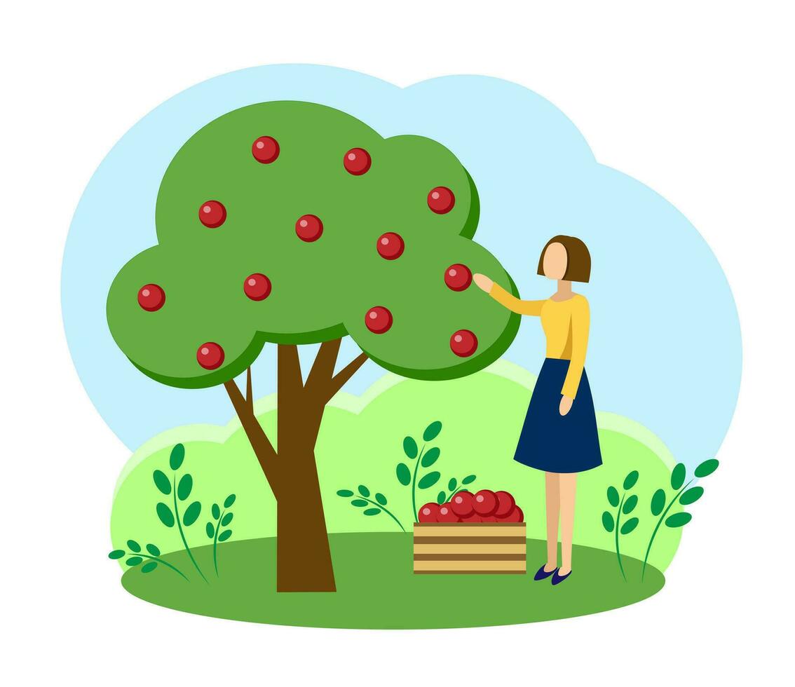 un niña despluma Fruta desde un árbol vector