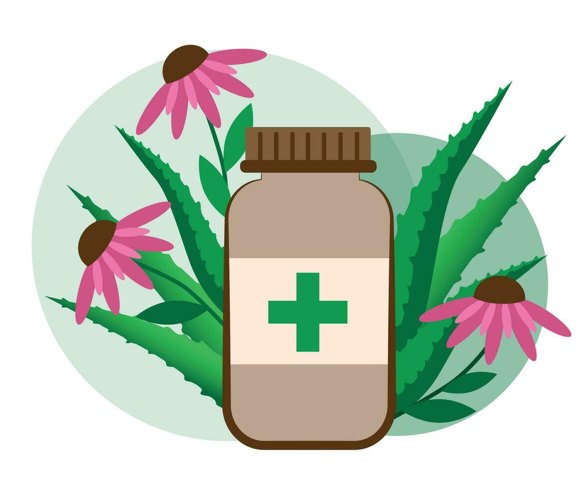 medicinal plantas para tu inmunidad vector