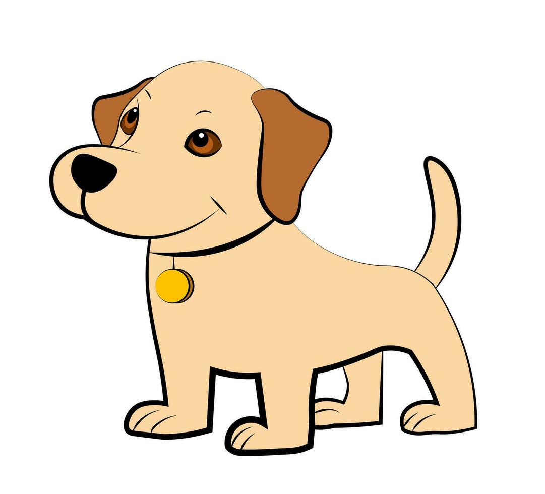 Cute puppy on a white background vector