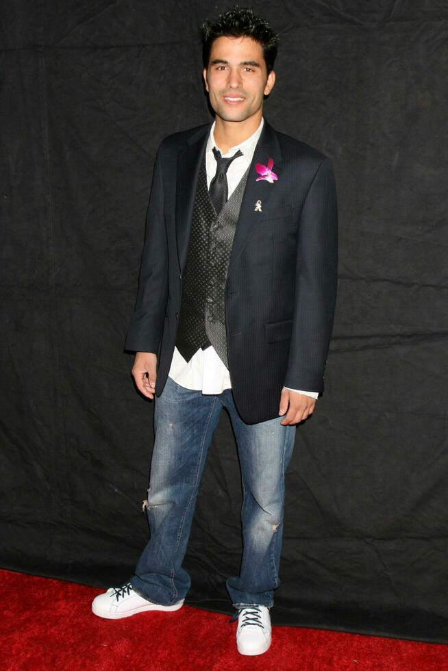 Ignacio Serricchio arriving at the Desi Geestman Foundataion Annual Evening with the Stars at the Universal Sheraton Hotel in Los Angeles CA October 11 2008   Hutchins Photo
