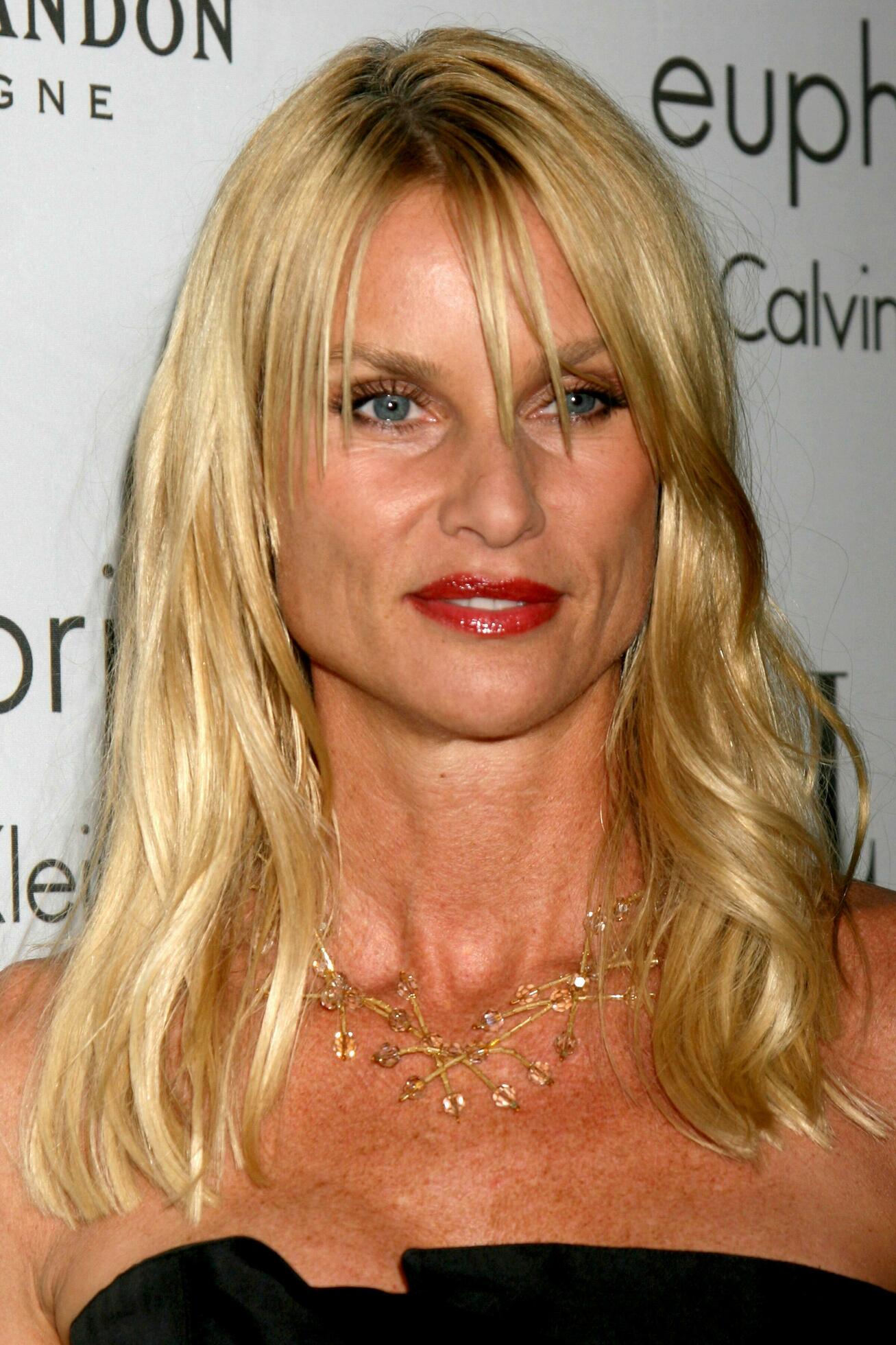 Nicollette Sheridan: Talent, Glamour, And The Hollywood Battles She Won - v378p0n
