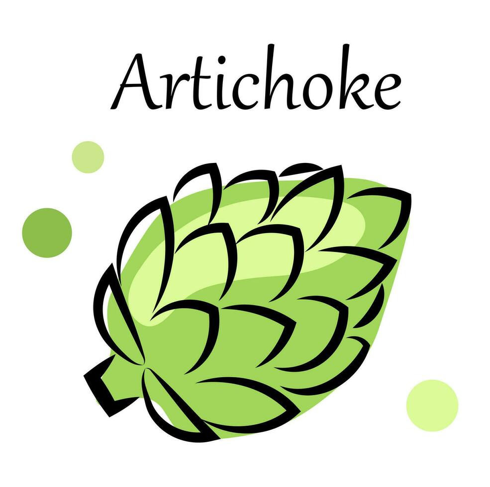 Artichoke on a white background vector