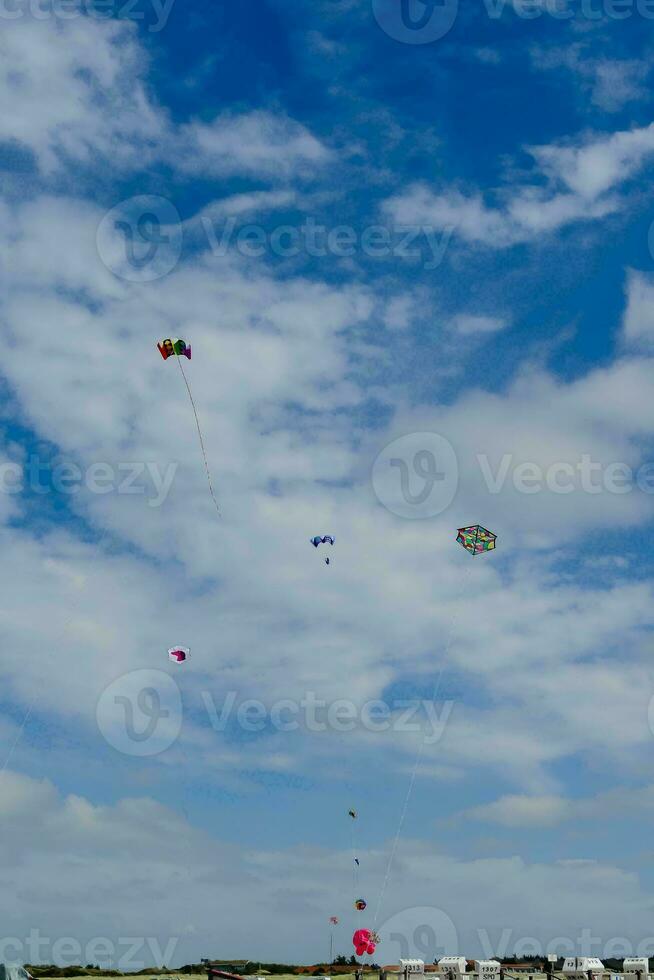 a group of people flying kites in a field photo