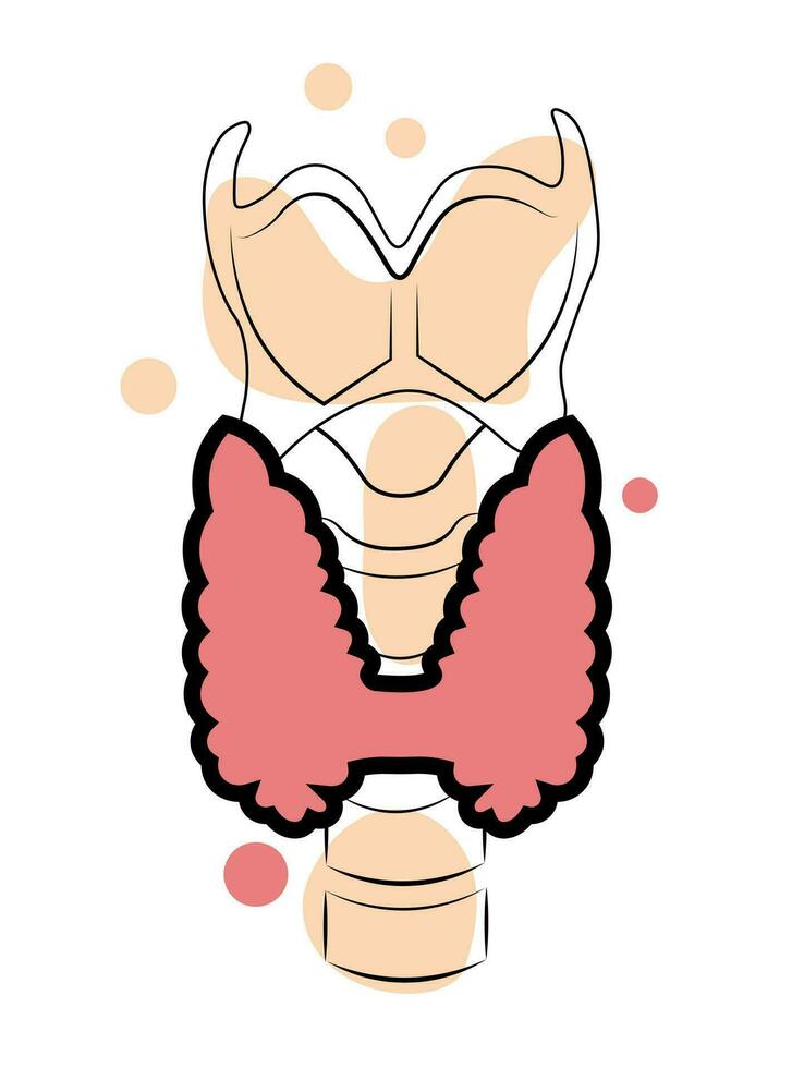 Thyroid. Doodle style vector illustration