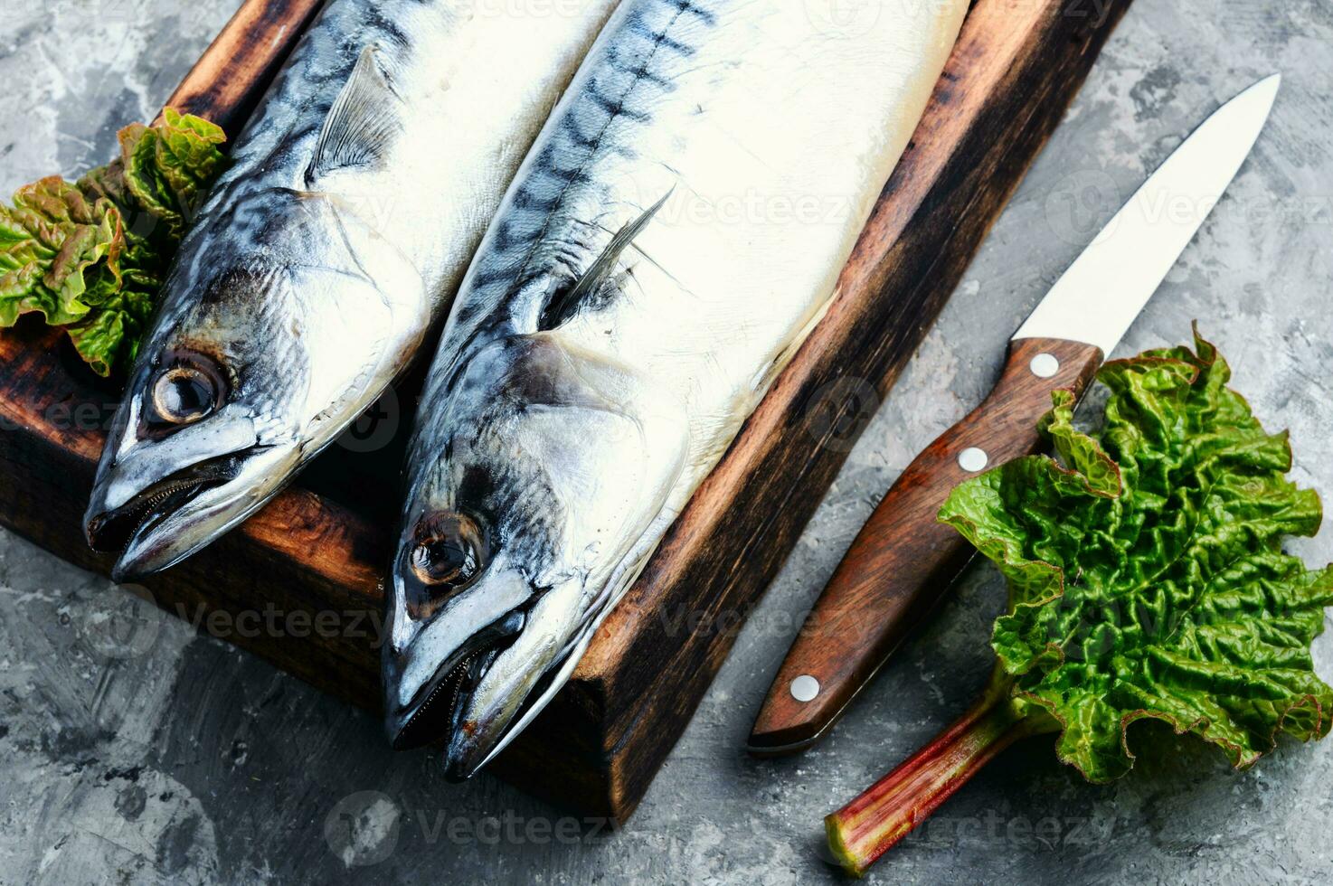 raw fish on table photo