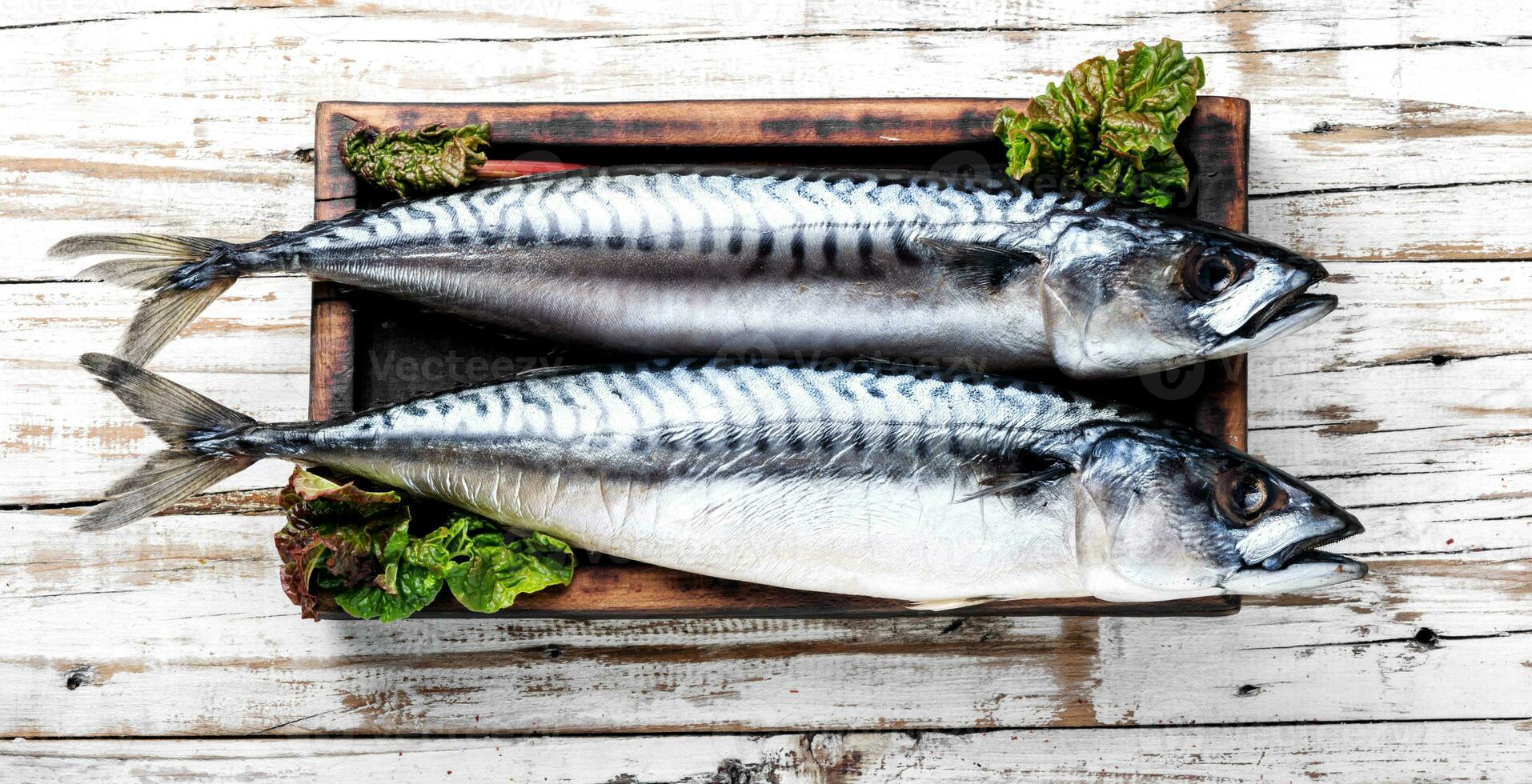 raw fish on table photo