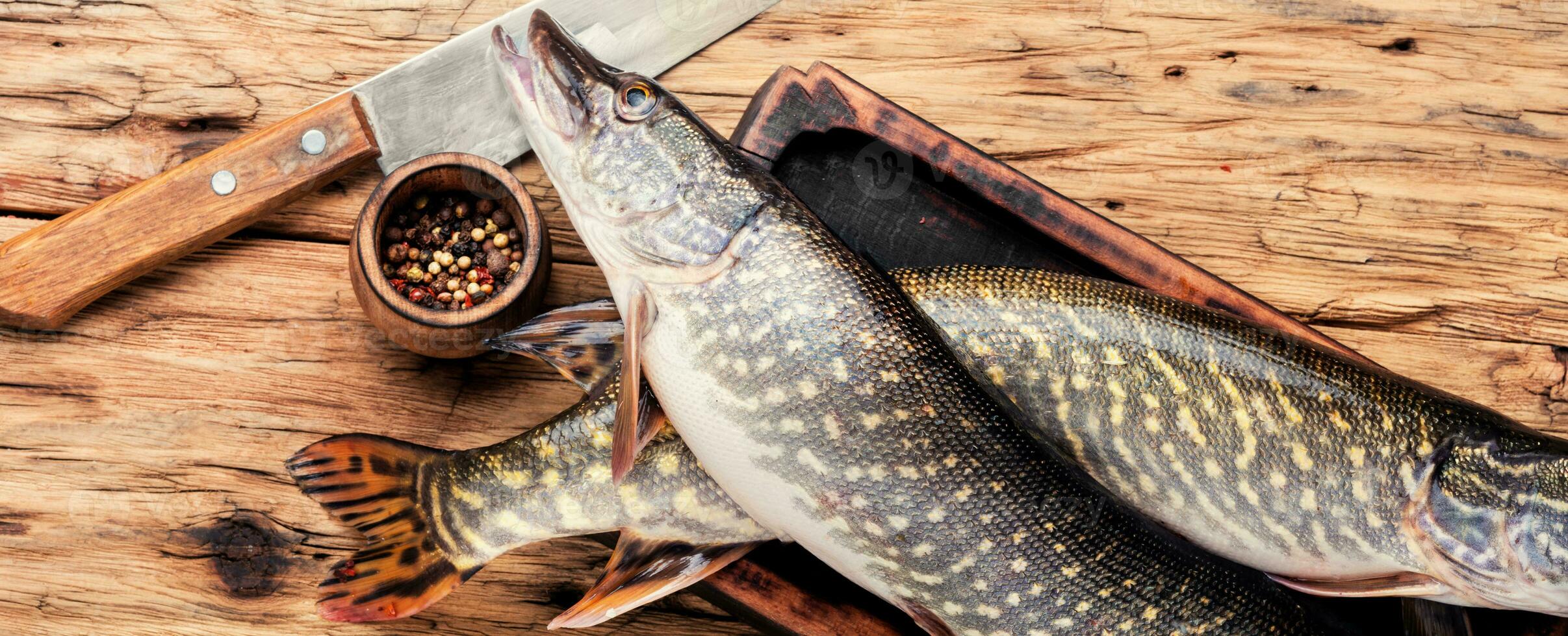 Fish pike on the kitchen board photo